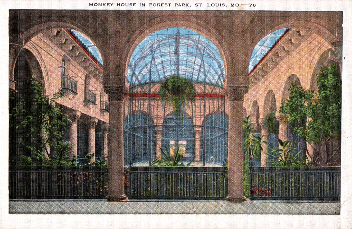 Saint Louis City, MO (195 items)