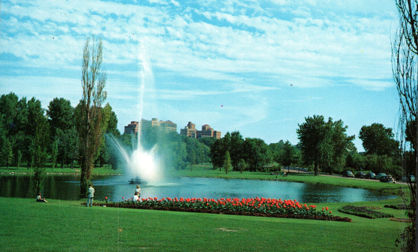 Saint Louis City, MO (195 items)