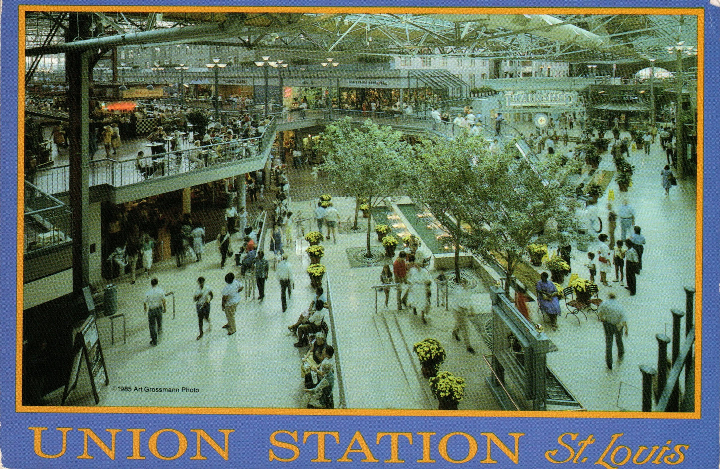 Saint Louis City, MO (195 items)