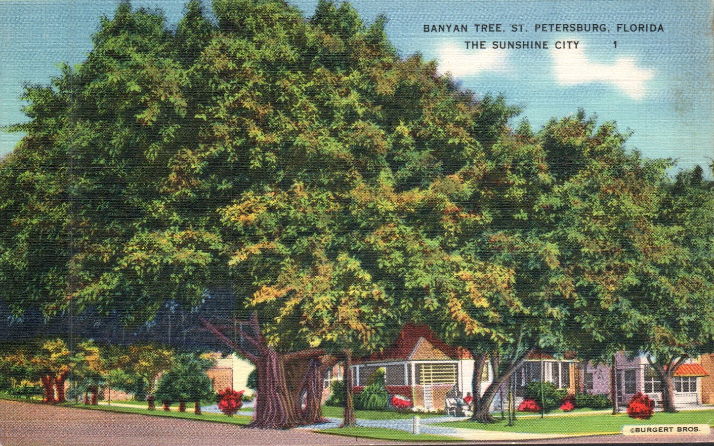 Pinellas County, FL (109 items)