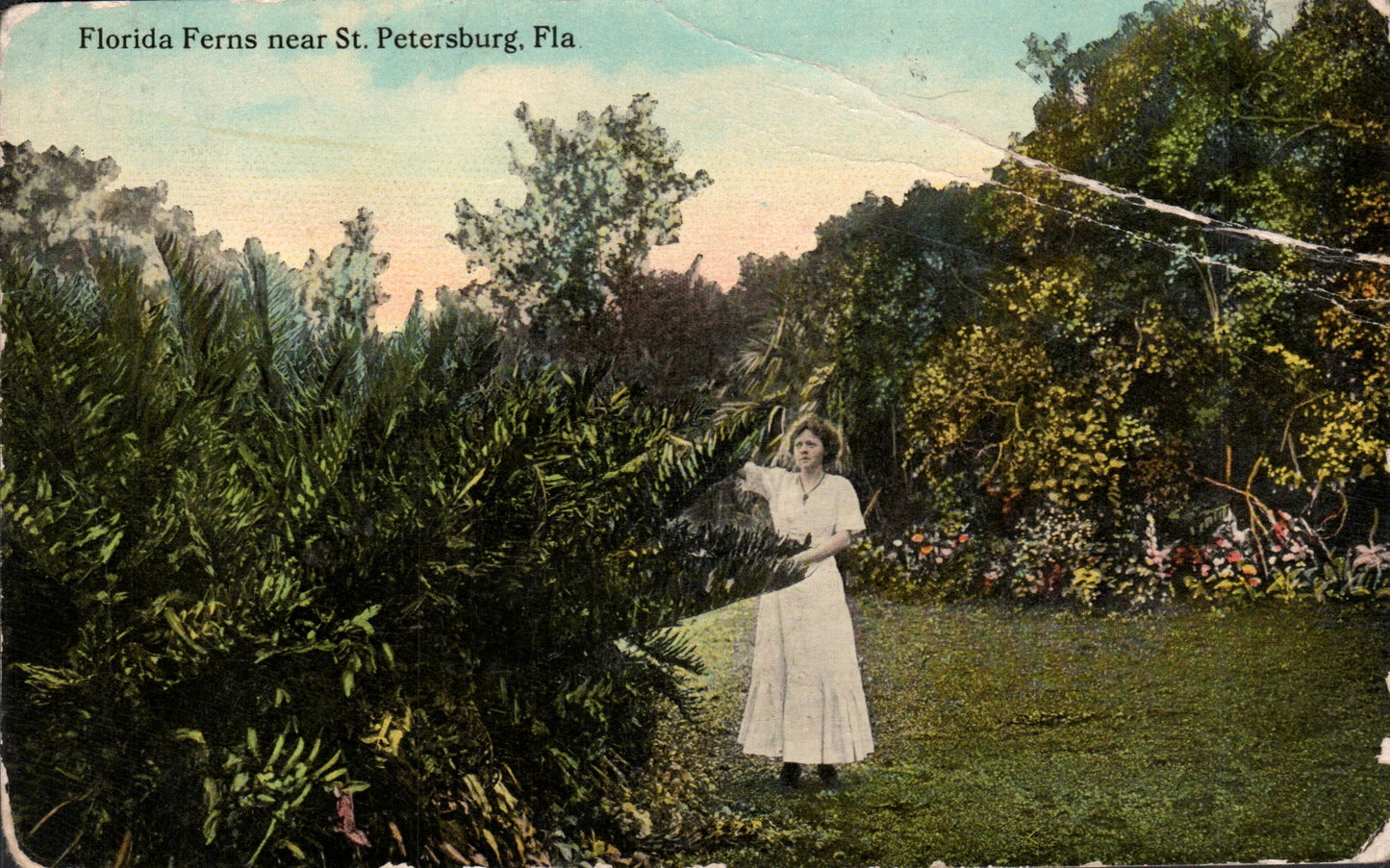 Pinellas County, FL (109 items)