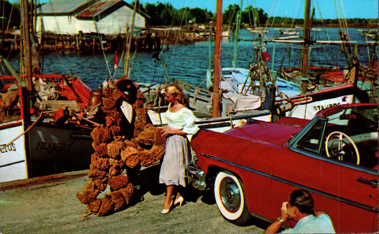 Pinellas County, FL (109 items)