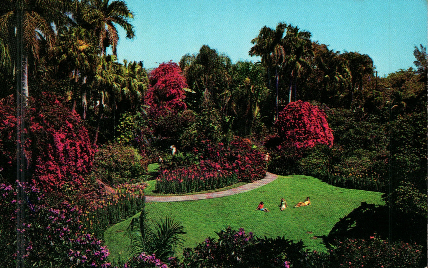 Pinellas County, FL (109 items)