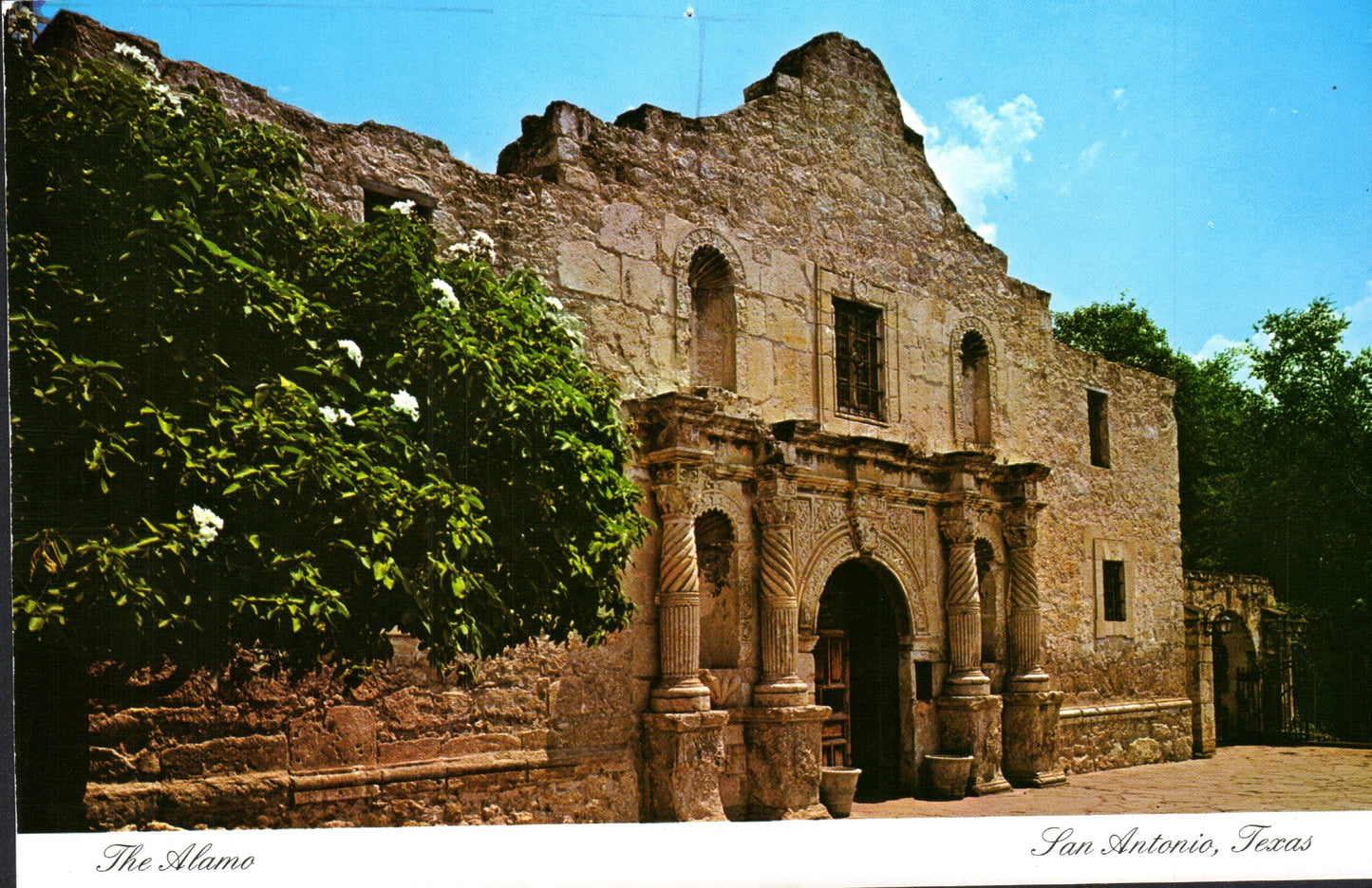 Bexar County, TX (77 items)