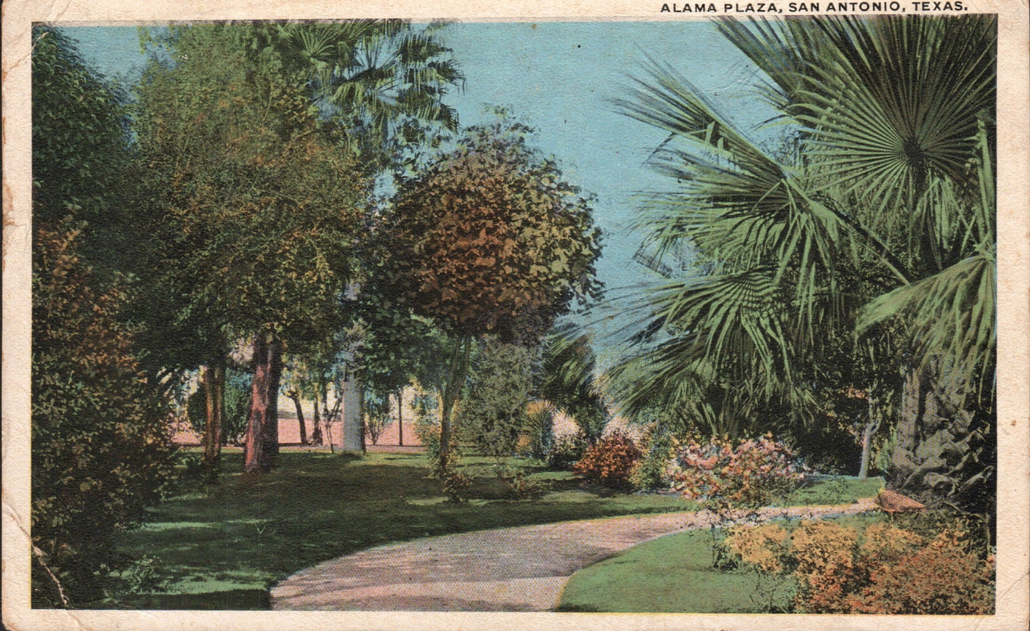 Bexar County, TX (77 items)