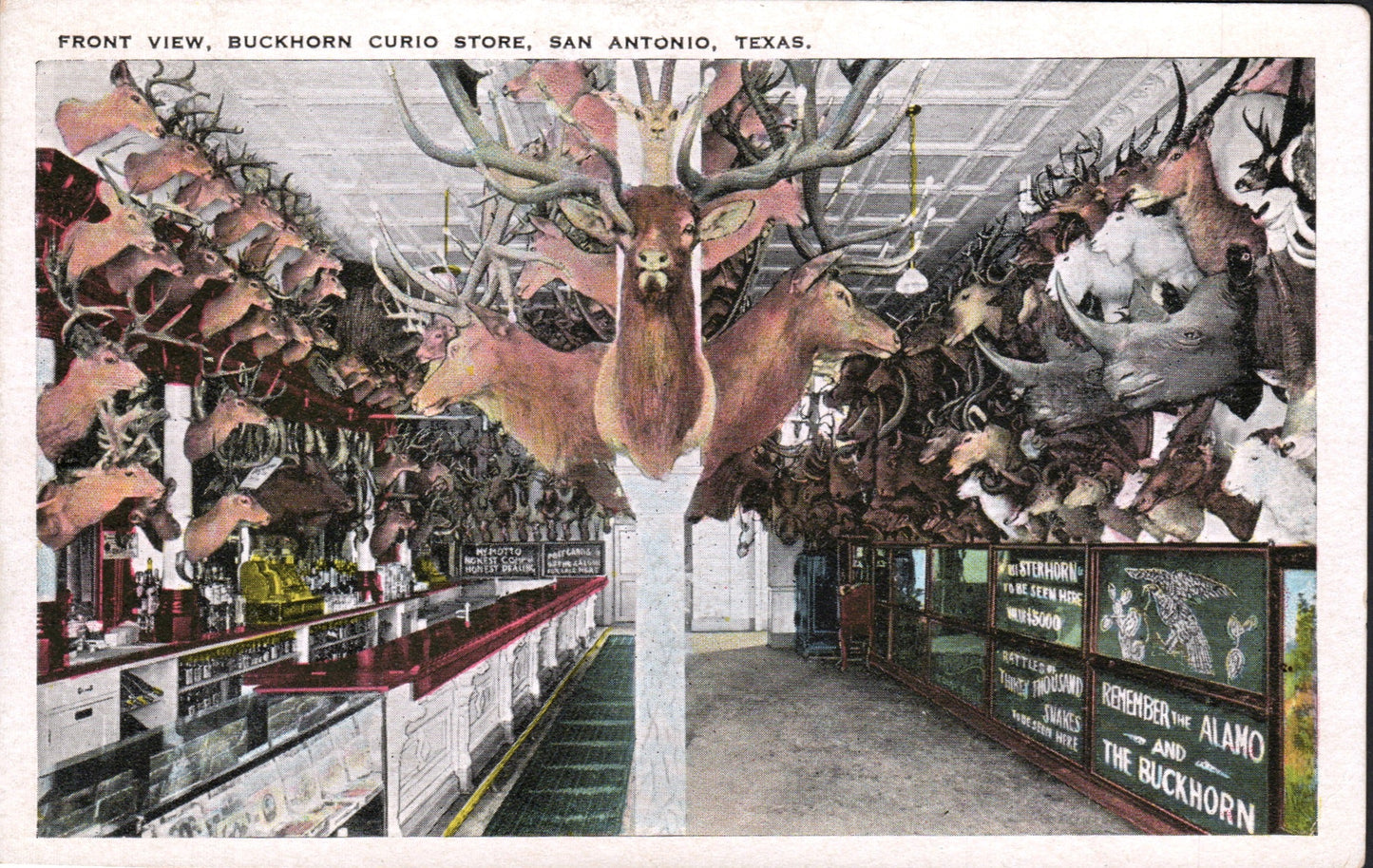 Bexar County, TX (77 items)