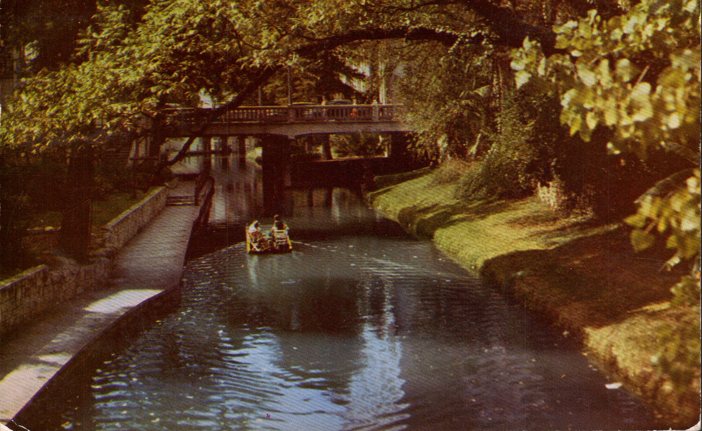 Bexar County, TX (77 items)