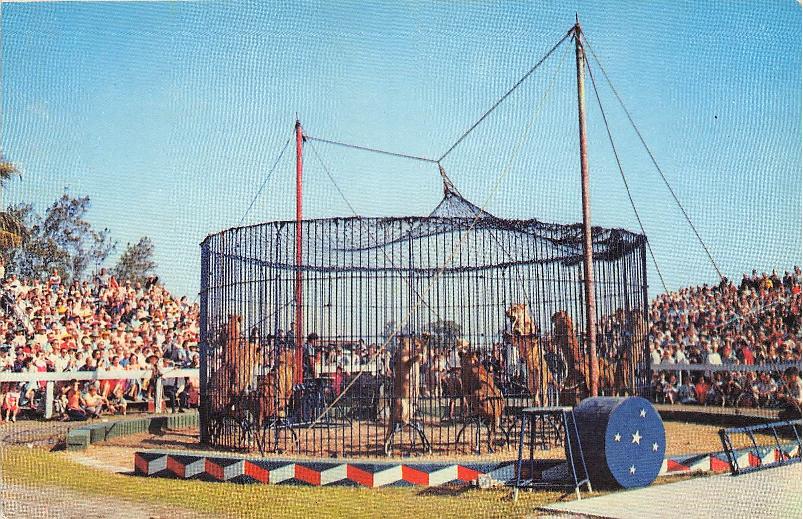 Sarasota County, FL (37 items)