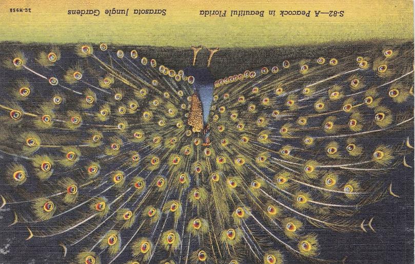 Sarasota County, FL (37 items)