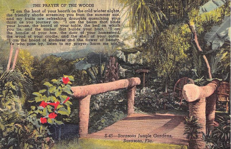 Sarasota County, FL (37 items)