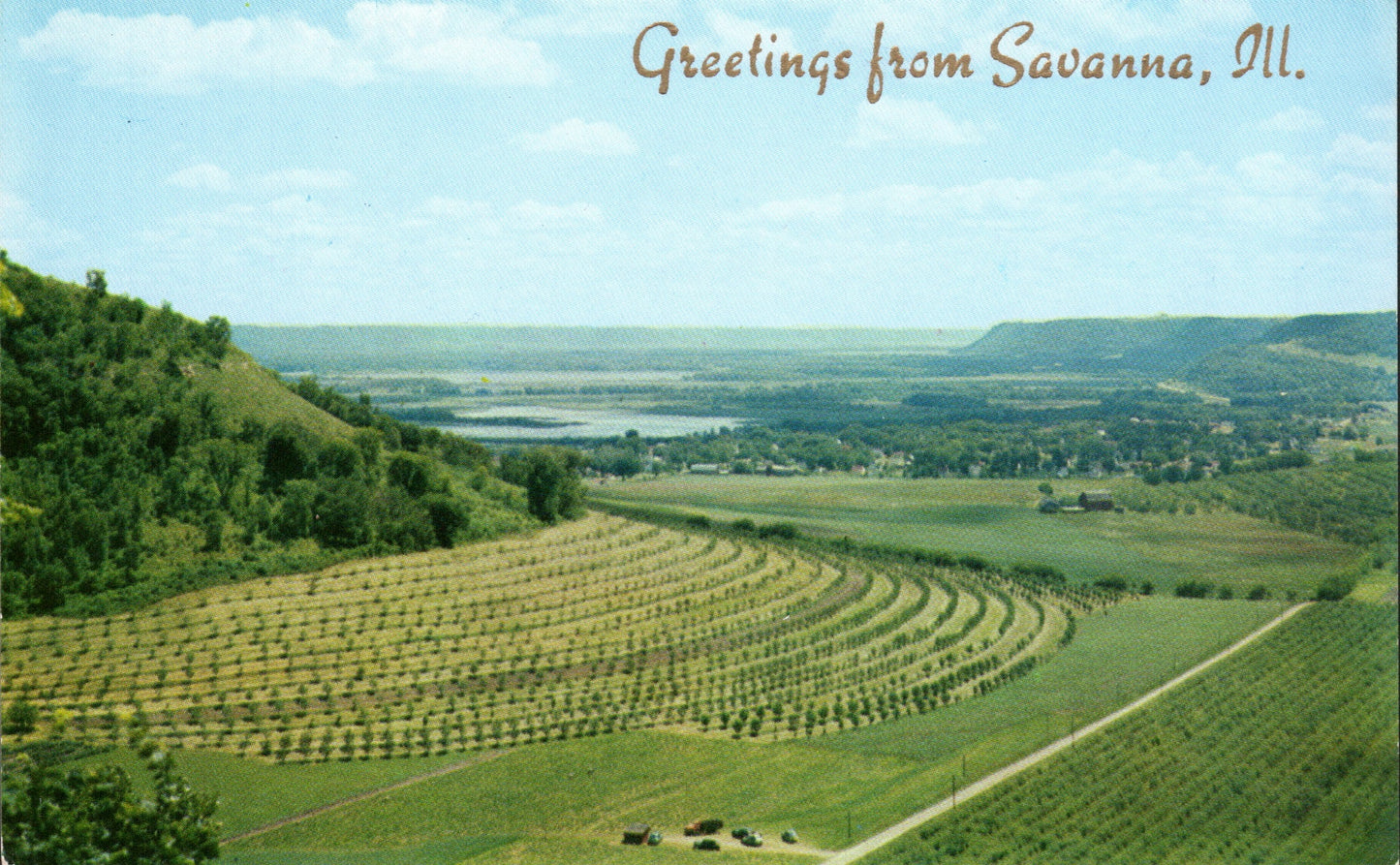 Carroll County, IL (13 items)