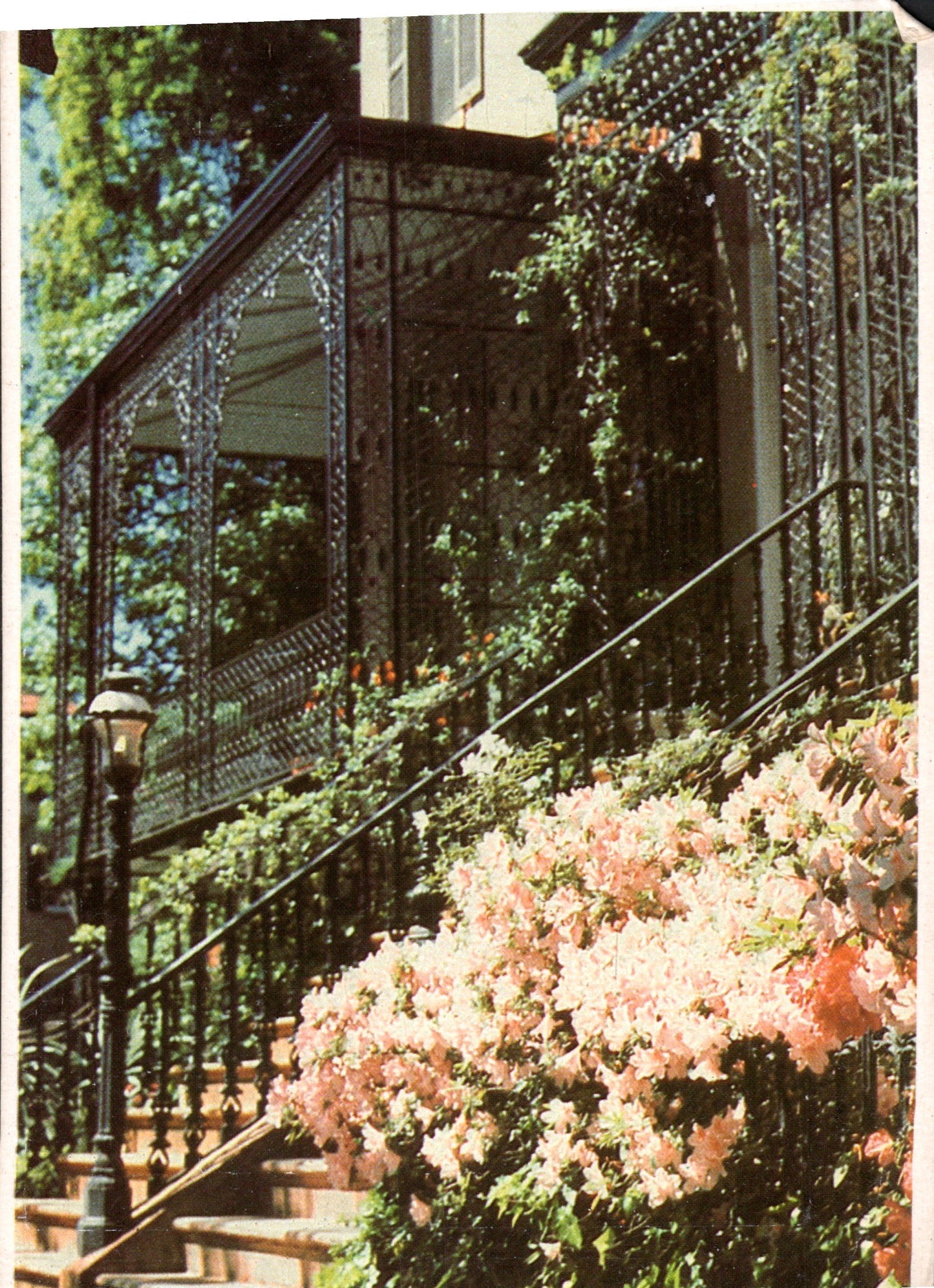 Chatham County, GA (41 items)