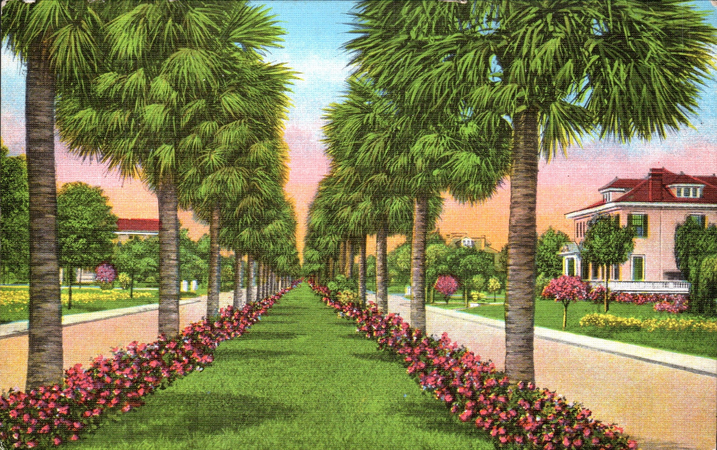 Chatham County, GA (41 items)