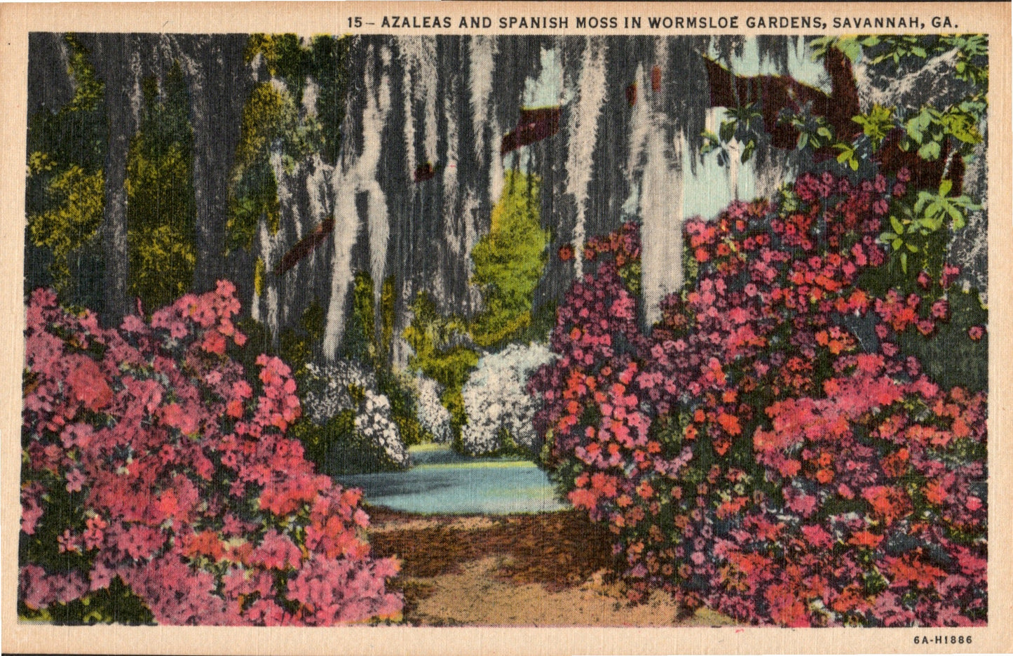 Chatham County, GA (41 items)