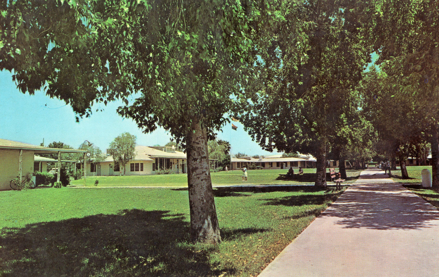 Maricopa County, AZ (50 items)
