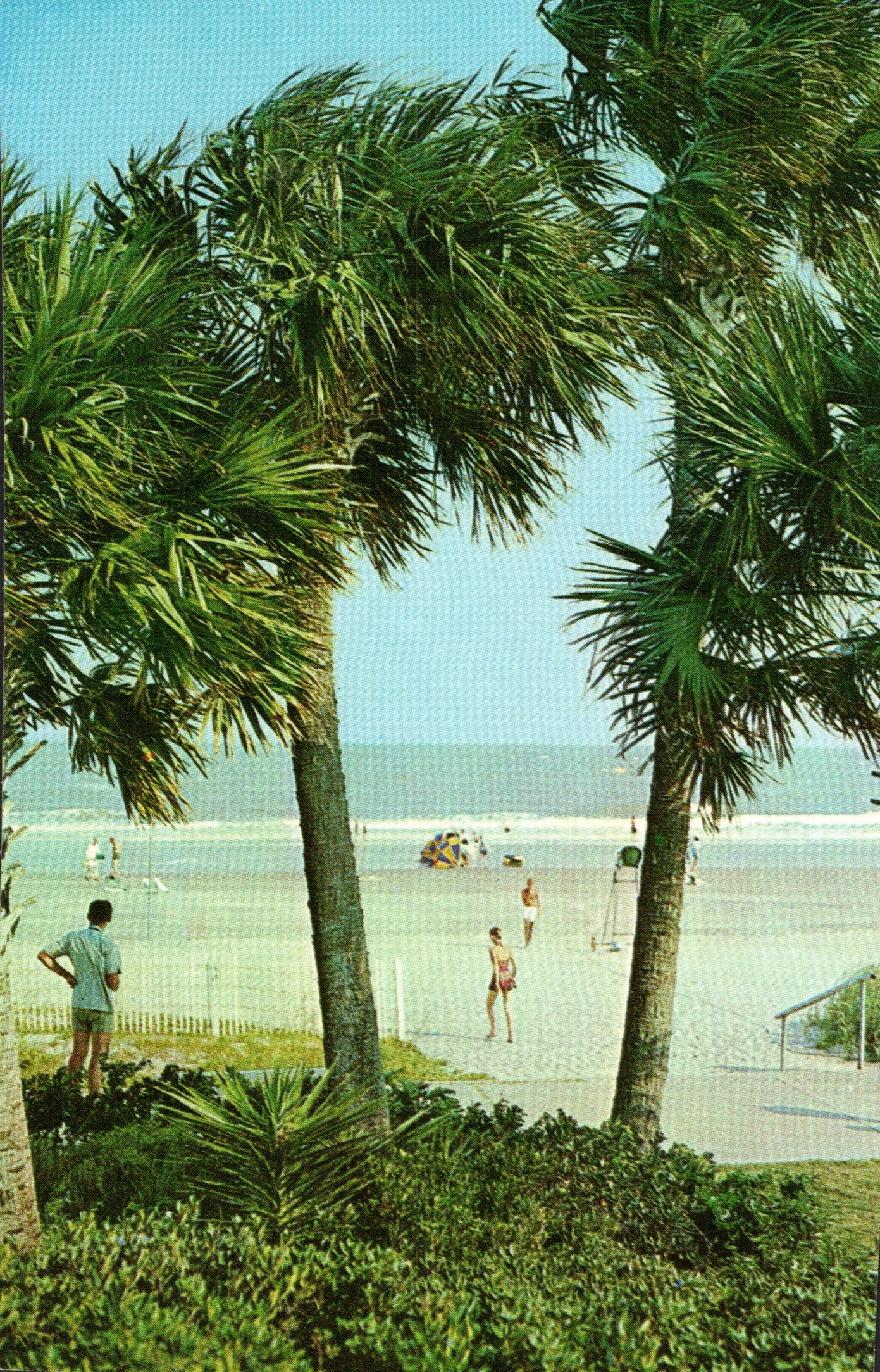 Glynn County, GA (31 items)