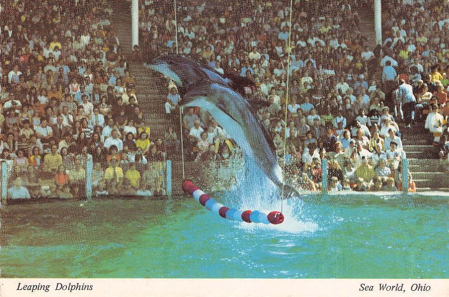 Portage County, OH (25 items)