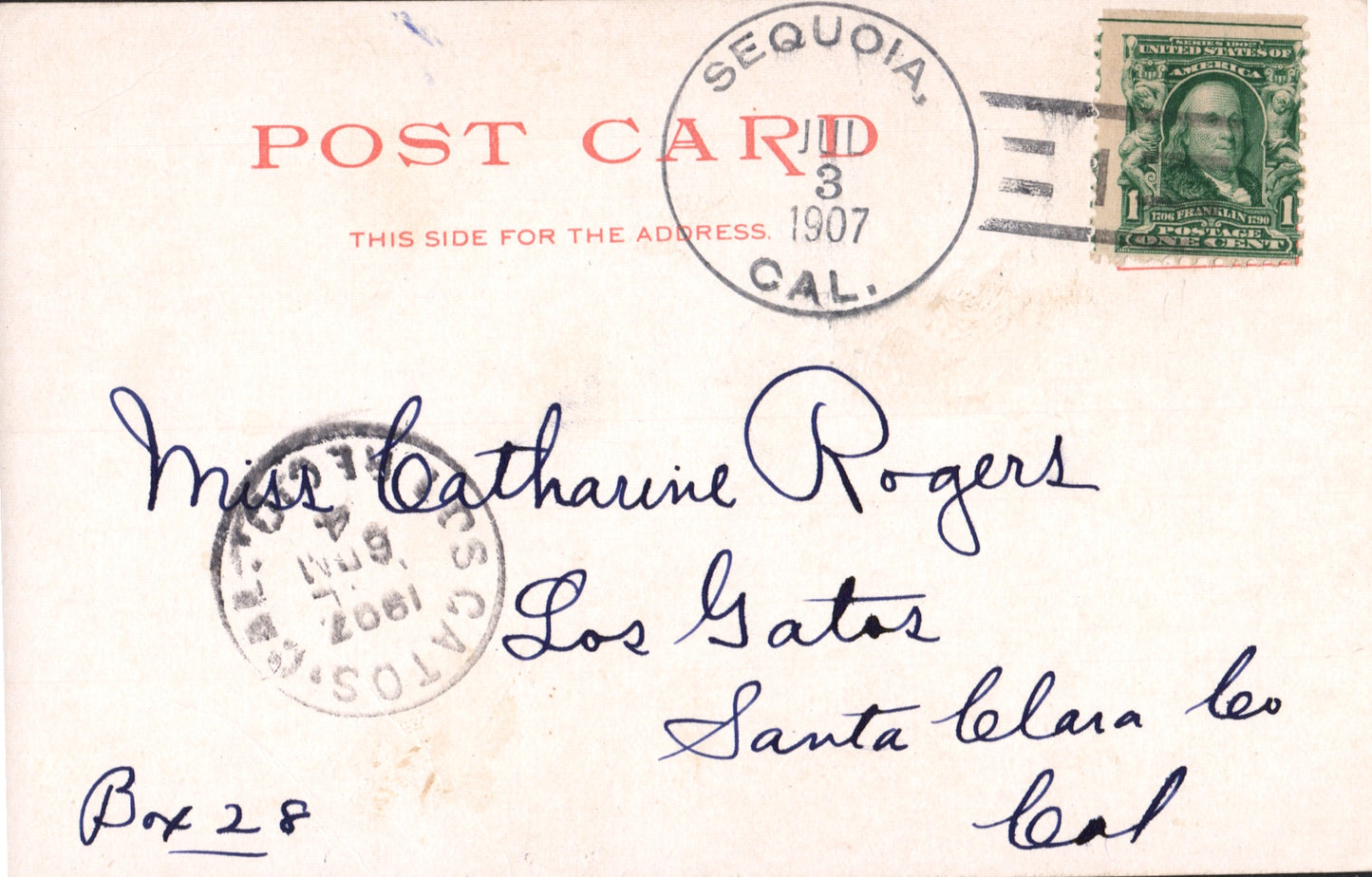 Tuolumne County, CA (65 items)