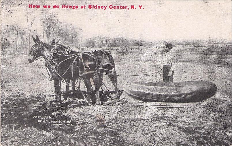 Delaware County, NY (41 items)