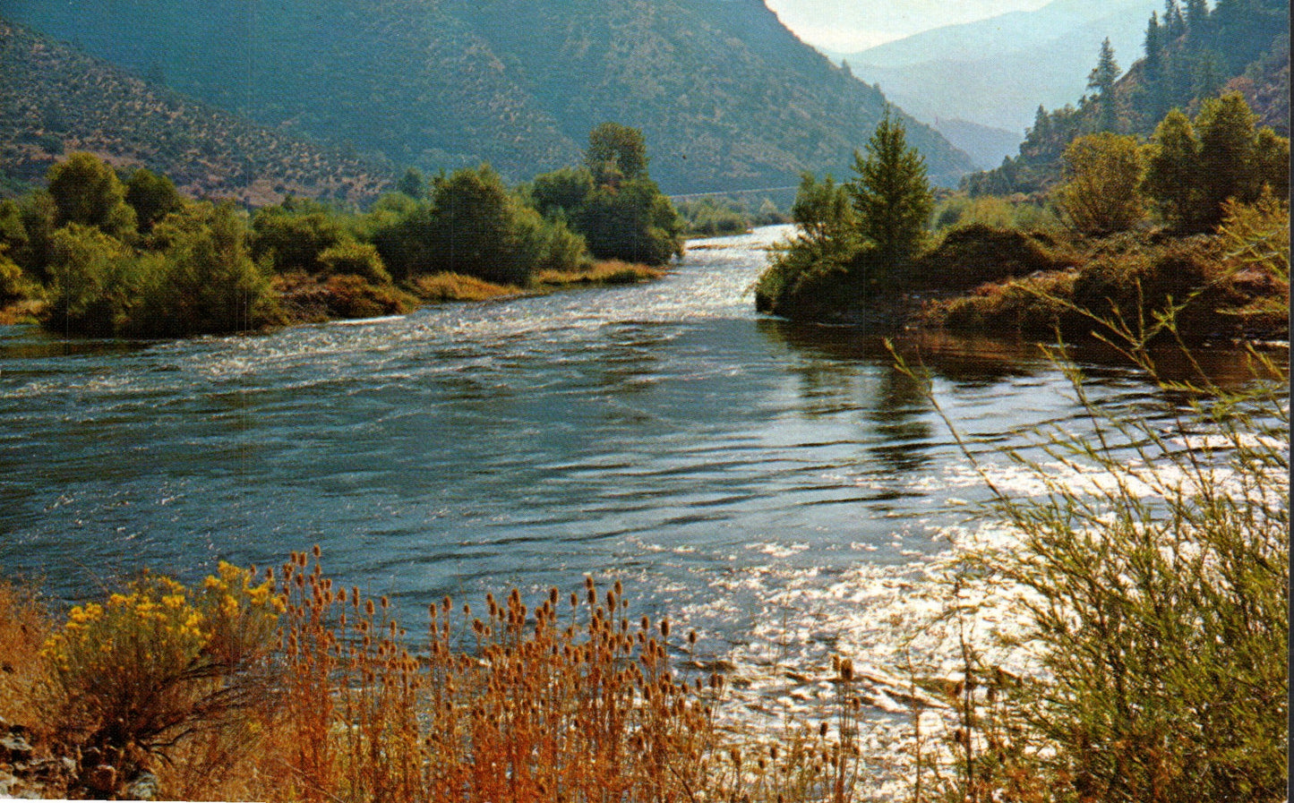 Siskiyou County, CA (90 items)