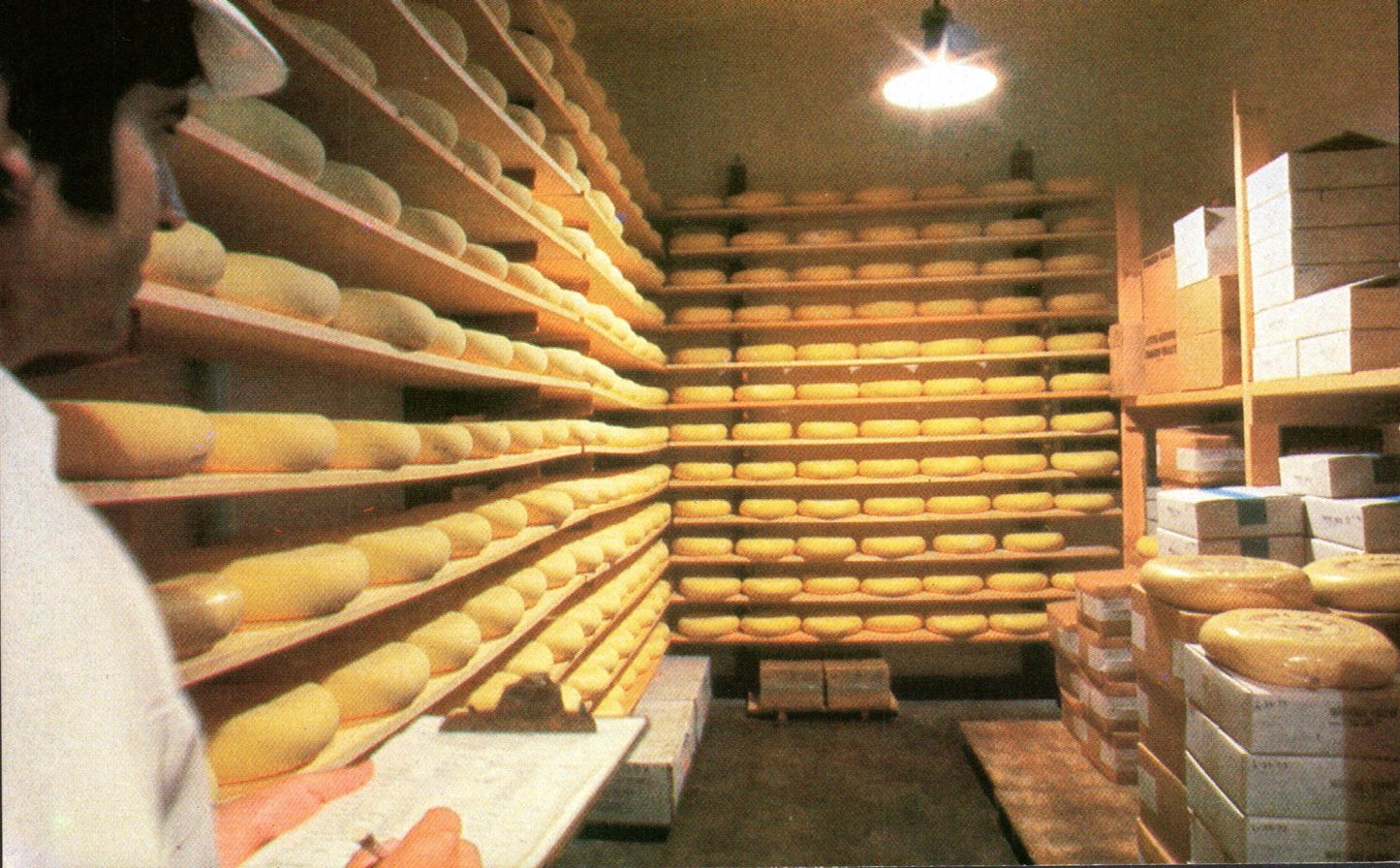 Sonoma County, CA (119 items)