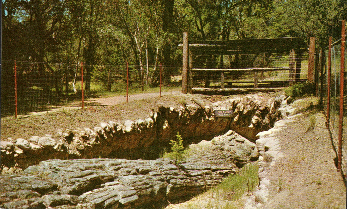 Sonoma County, CA (119 items)