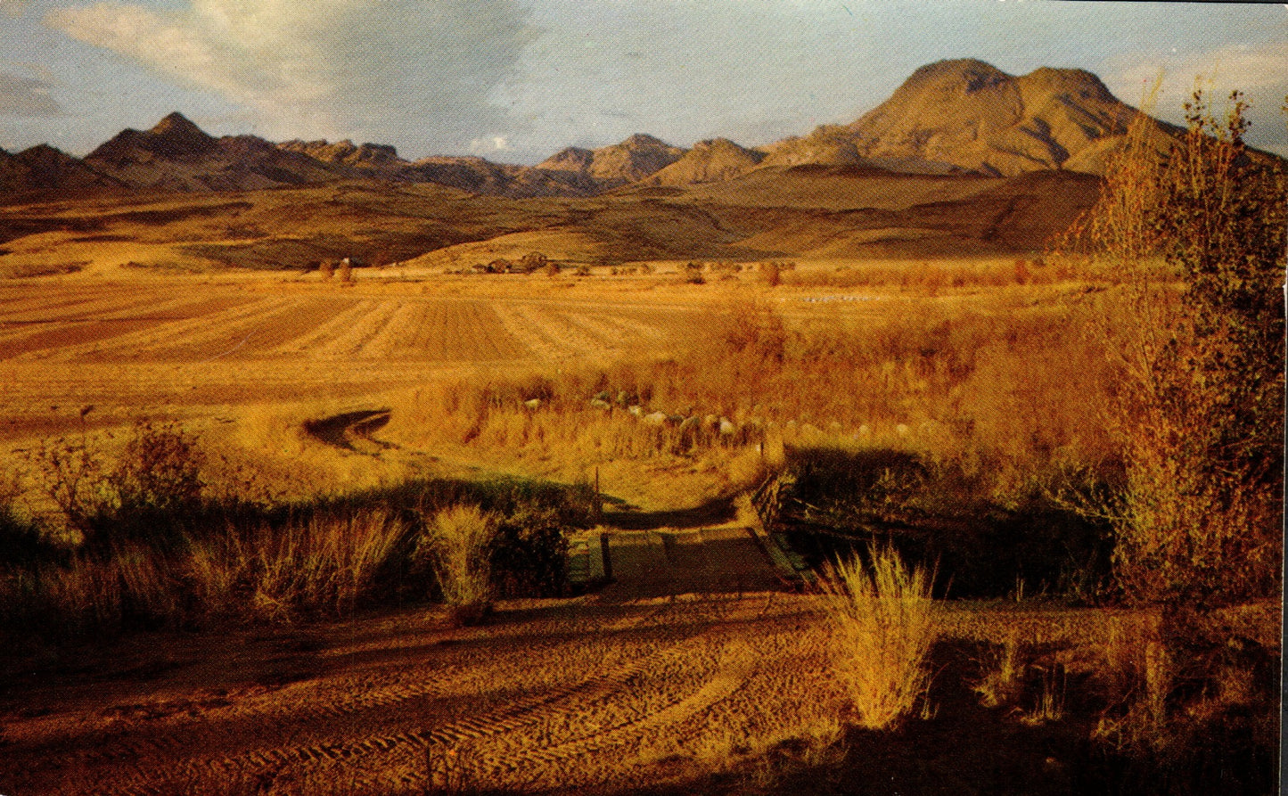 Sutter County, CA (17 items)