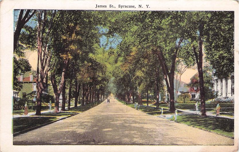 Onondaga County, NY (59 items)