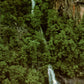 Rabun County, GA (19 items)
