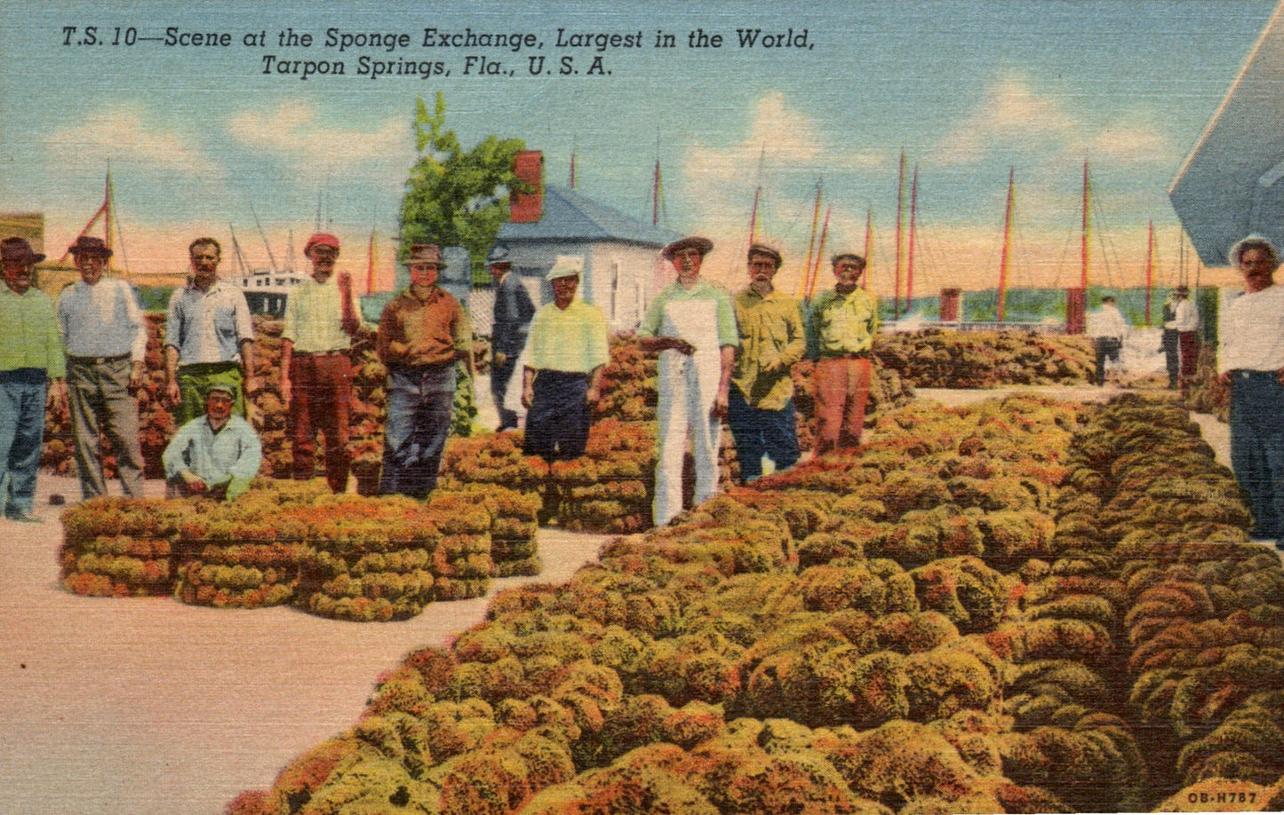 Pinellas County, FL (109 items)