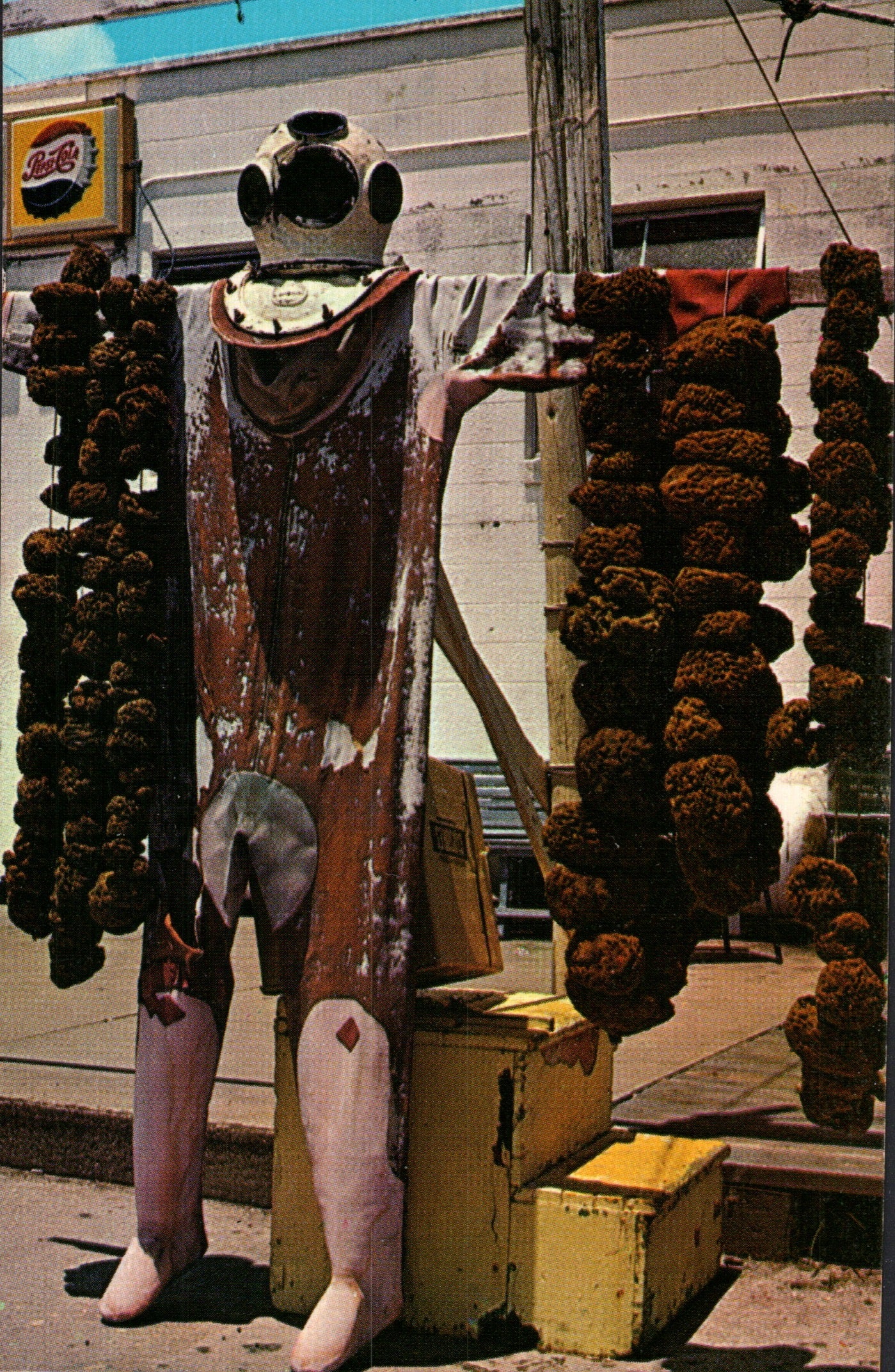 Pinellas County, FL (109 items)