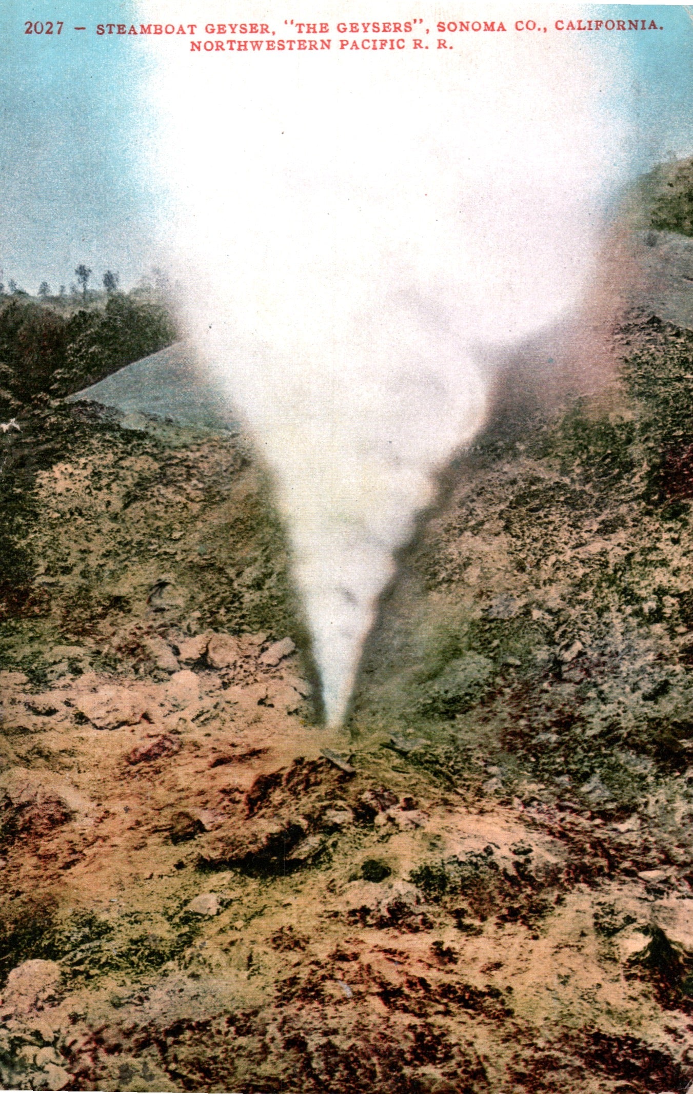 Sonoma County, CA (119 items)