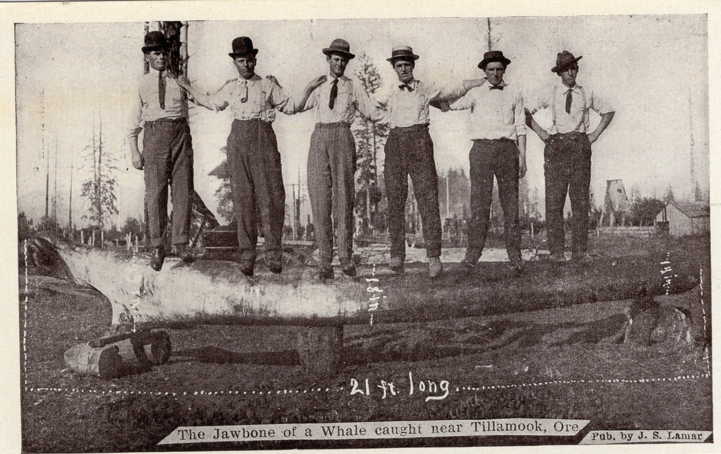 Tillamook County, OR (108 items)