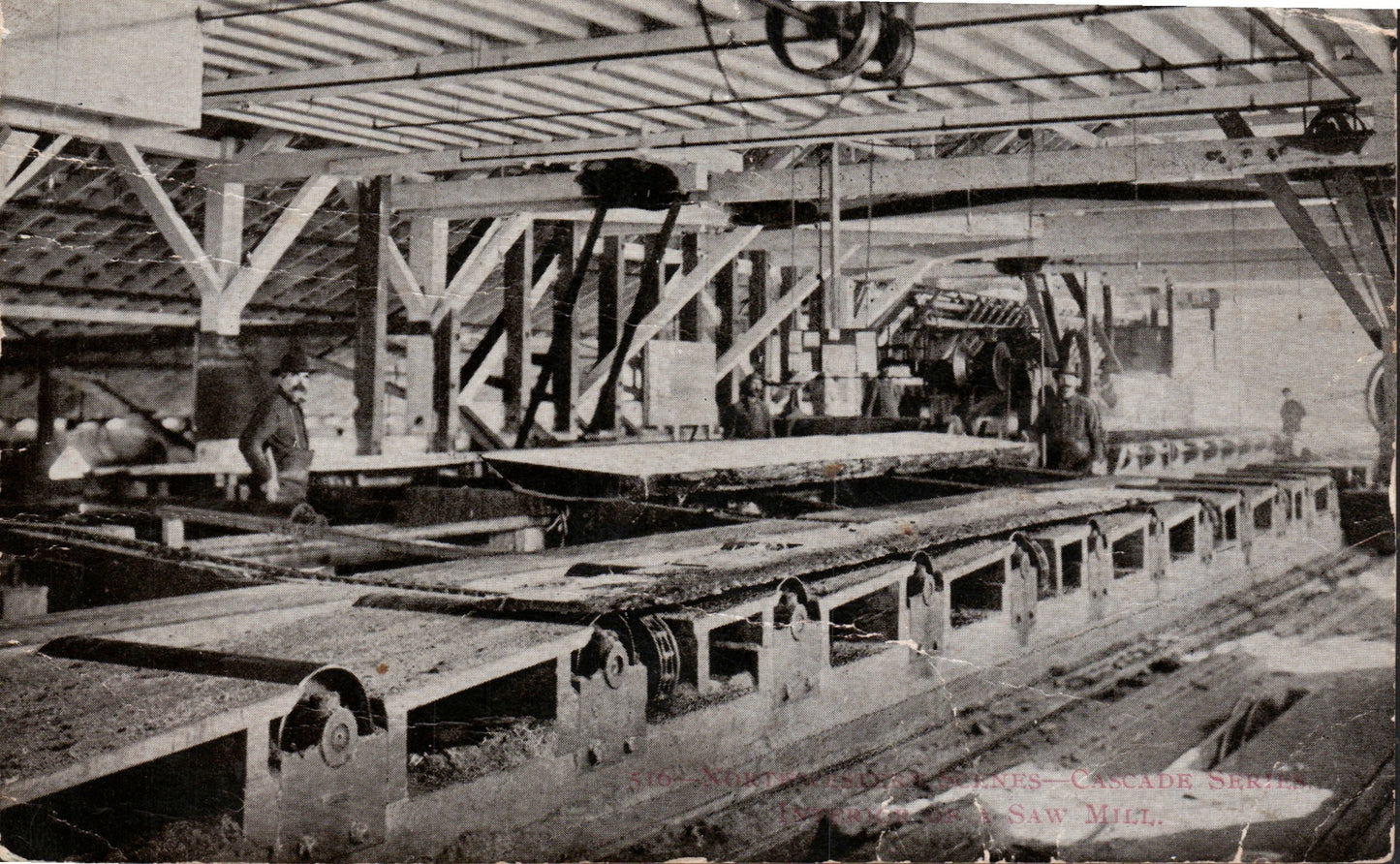 Lewis County, WA (37 items)