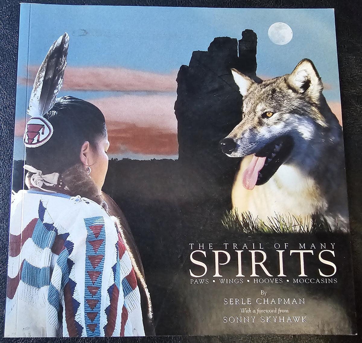 The Trail of Many Spirits, by Serle Chapman.  (United States)