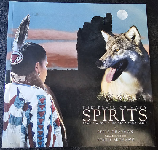 The Trail of Many Spirits, by Serle Chapman.  (United States)