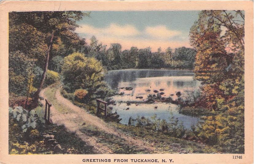 Westchester County, NY (52 items)