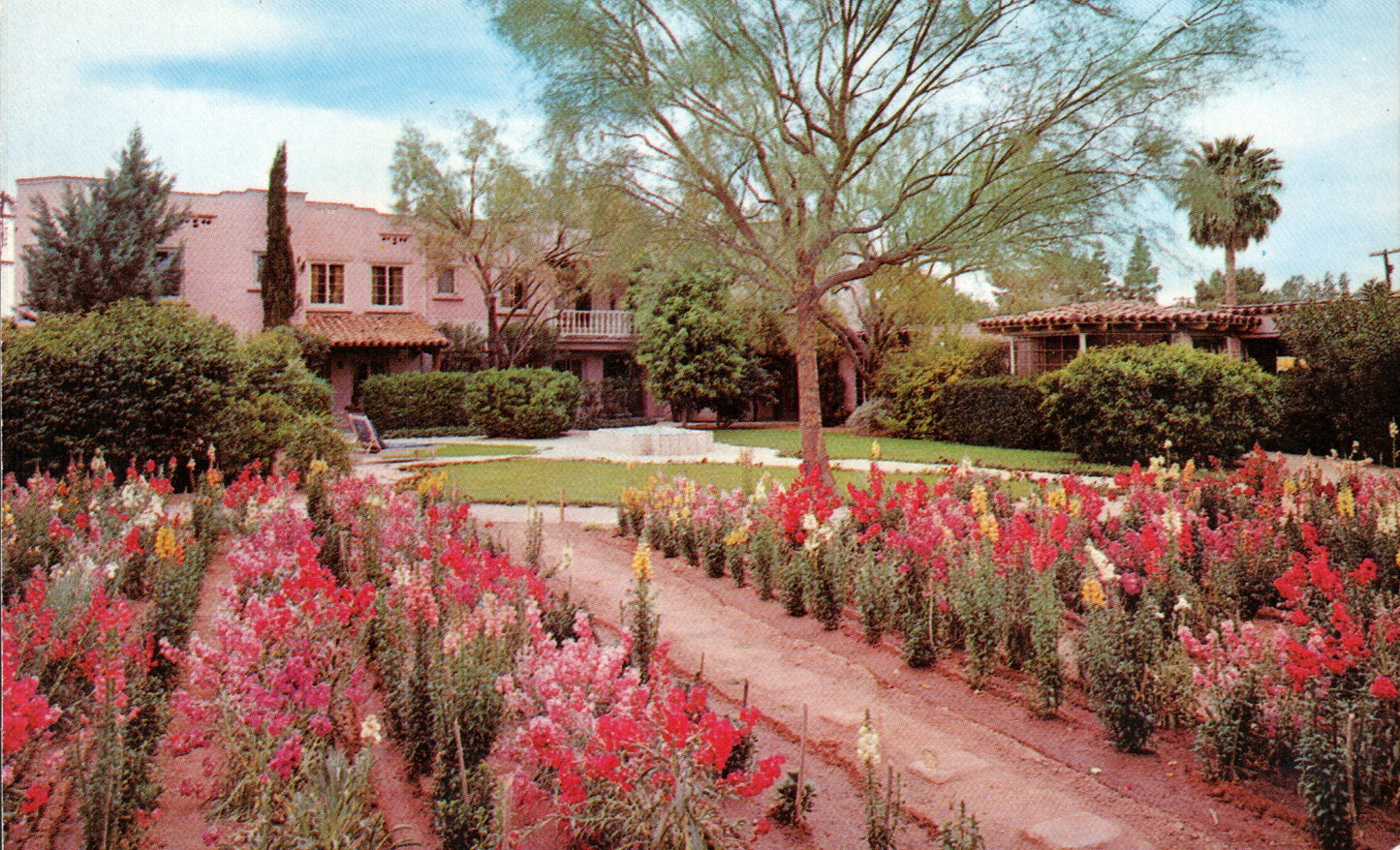 Pima County, AZ (23 items)