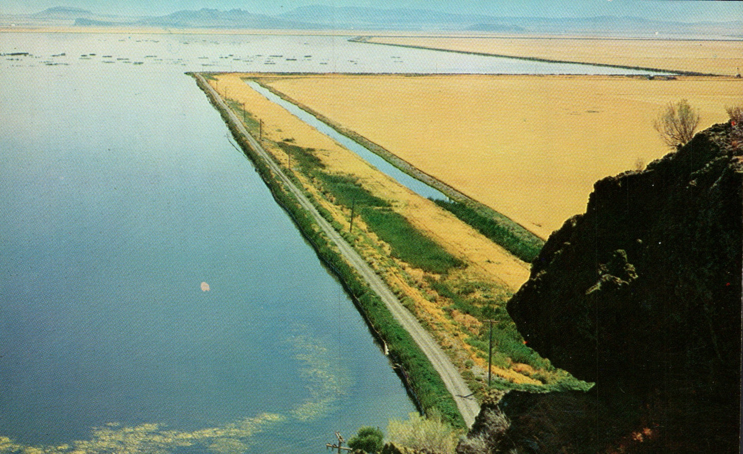 Siskiyou County, CA (90 items)