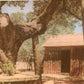 Tuolumne County, CA (65 items)