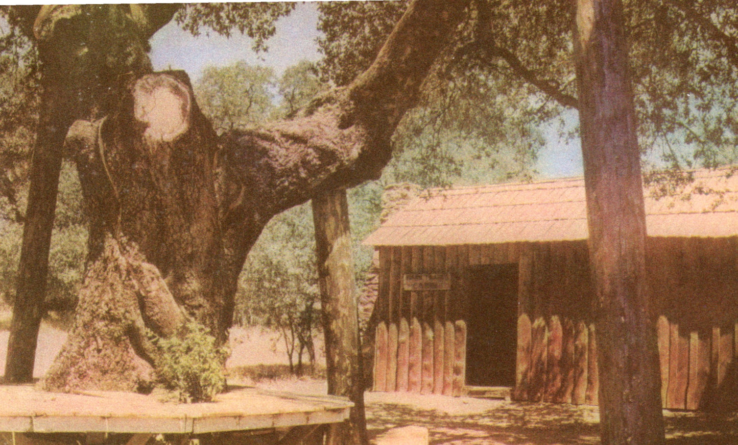Tuolumne County, CA (65 items)