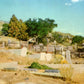 Storey County, NV (31 items)