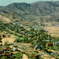 Storey County, NV (31 items)