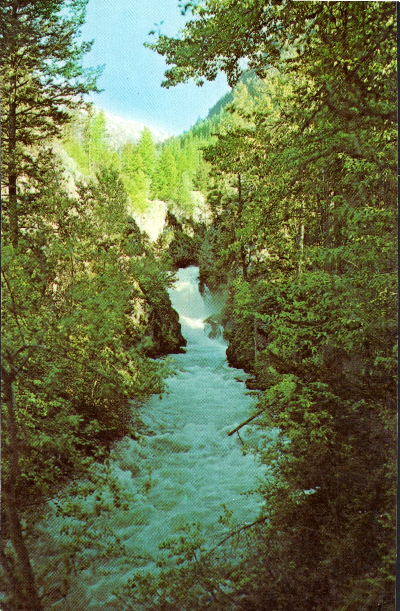 Wallowa County, OR (17 items)