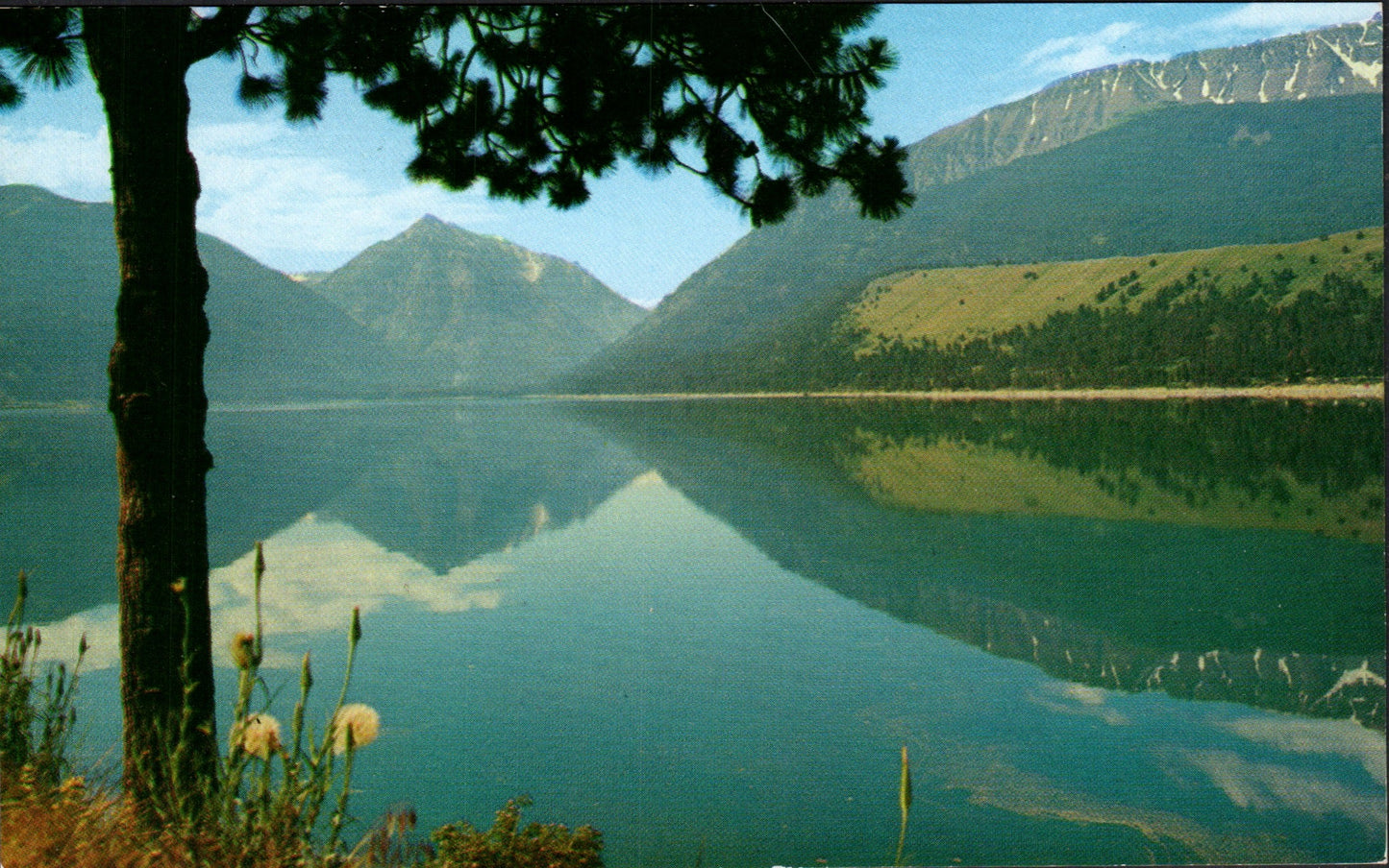 Wallowa County, OR (17 items)