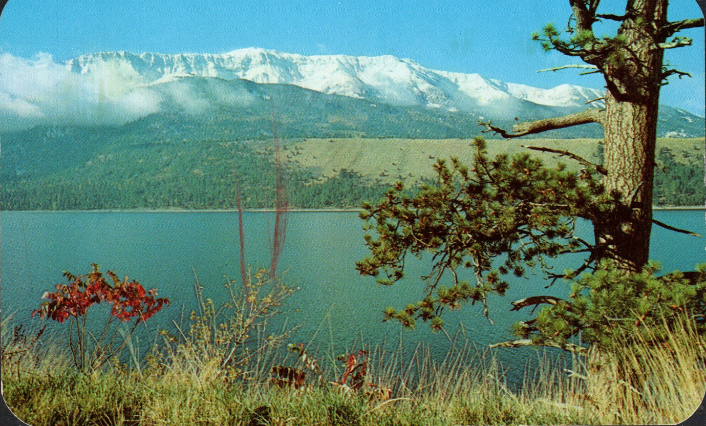 Wallowa County, OR (17 items)