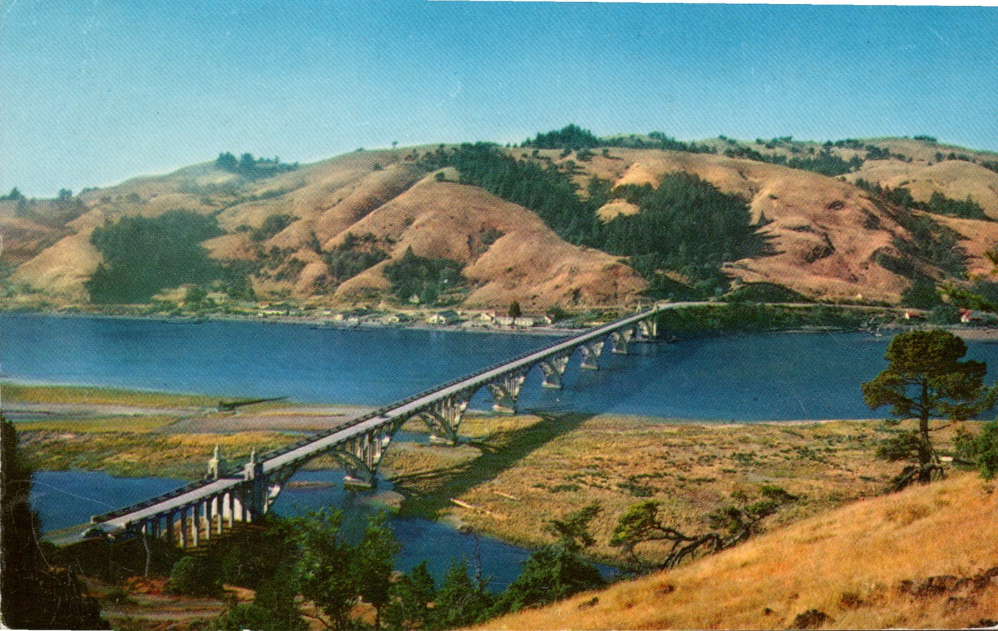 Curry County, OR (24 items)