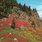 Chelan County, WA (31 items)