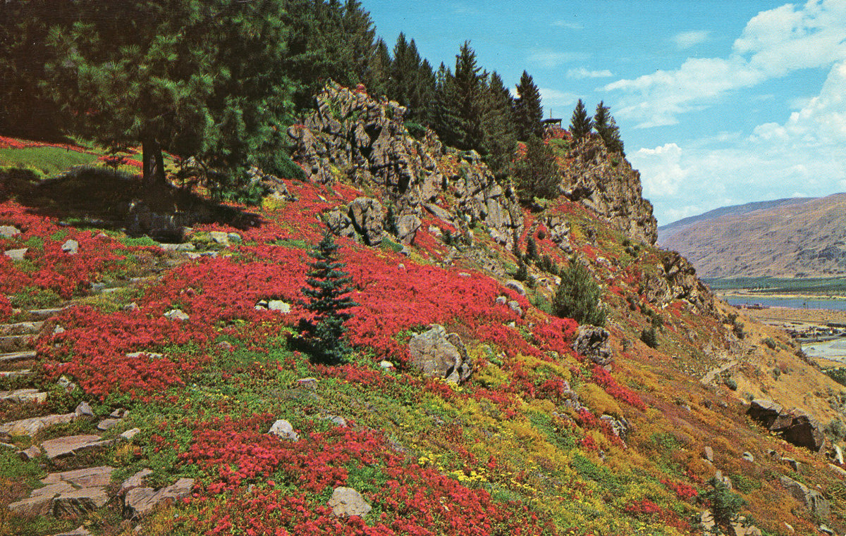 Chelan County, WA (31 items)