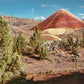 Wheeler County, OR (14 items)